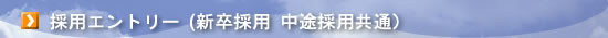 �̗p�G���g���[�i�V���A���r���ʁj